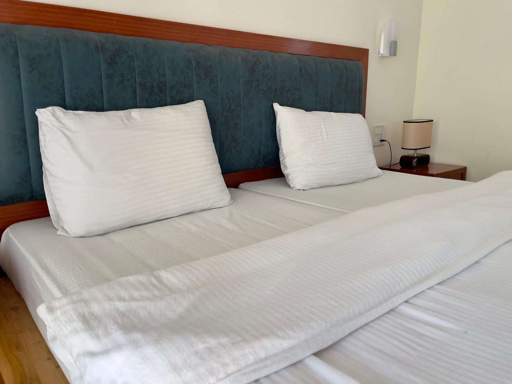 Rock Castle Residency Ξενοδοχείο Λεχ Εξωτερικό φωτογραφία